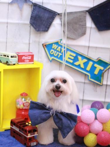 20230430心琴ちゃん